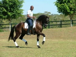 Day of the African Equestrian Returns to North Carolina on October 19th