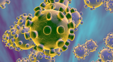 What Really Works to Keep The Coronavirus Away?
