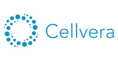 The World’s Largest Meta-Analysis Using Real-World Favipiravir Data Demonstrates Significant Clinical Improvements and Promotes Enhanced Viral Clearance in Mild-to-Moderate COVID-19 Patients